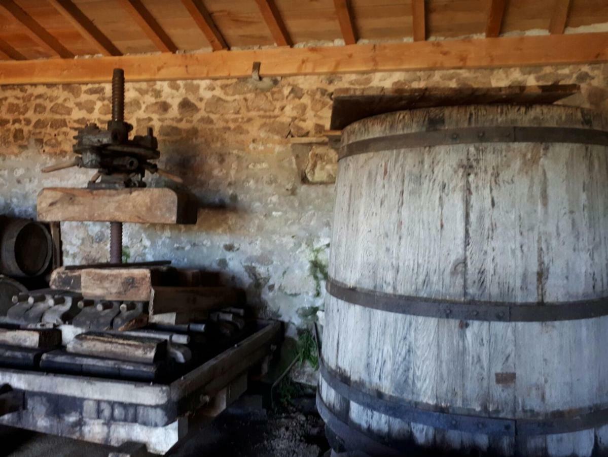 Grand Gite Maison D Alice Auvergne - 15 Personnes Saint-Bonnet-les-Quarts Eksteriør billede